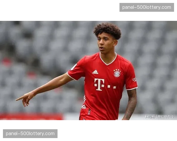 财务观察:德甲中游球队的生存之道,转会策略与青训产出平衡术